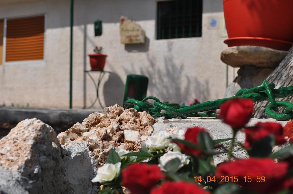 Rogakia Village Est. 1983 Ζόλα Εξωτερικό φωτογραφία