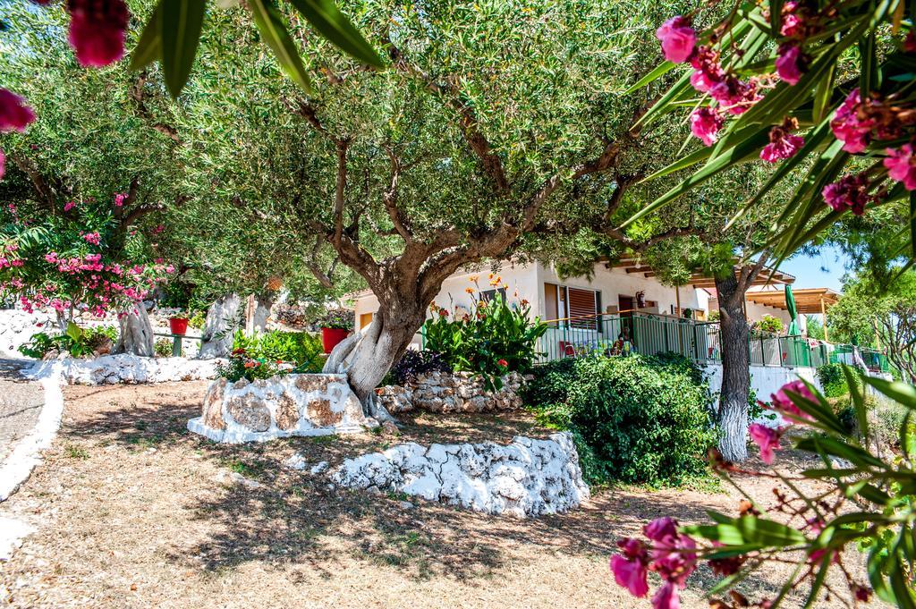 Rogakia Village Est. 1983 Ζόλα Εξωτερικό φωτογραφία